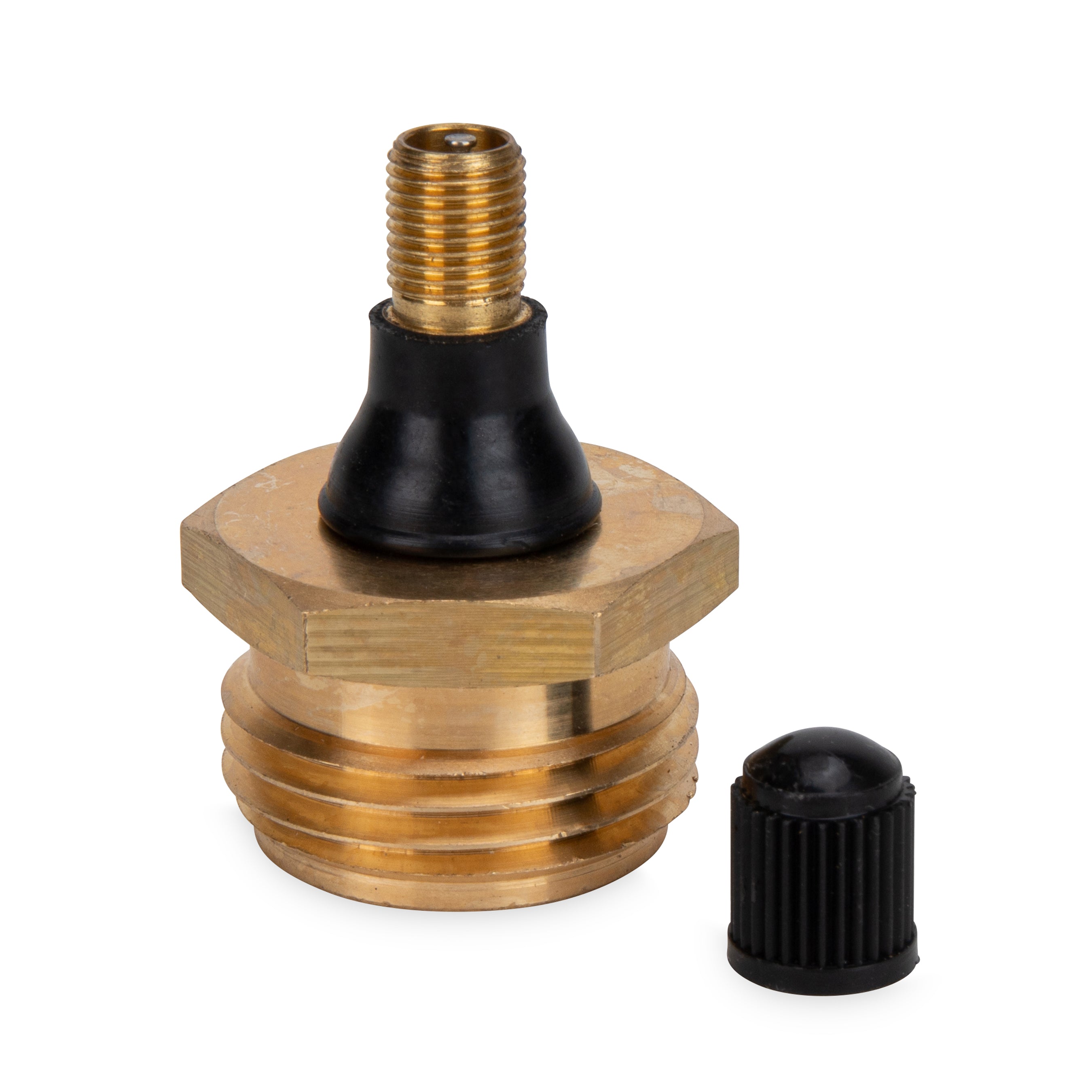Blow Out Plug with Schrader Valve - Brass (Eng/Fr)
